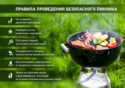Как провести пикник безопасно